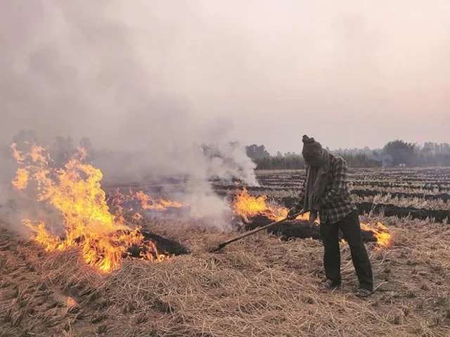 Read more about the article <p class='singletitle' >Can’t blame farmers, states responsible for stubble burning: NHRC on air pollution in Delhi-NCR </p> <h4 class='subpost_title'> “The governments have failed to provide an adequate number of machines and adopt other measures. Consequently, farmers are forced to burn stubble, leading to pollution,” the commission said.</h4>