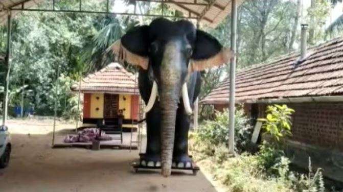 Read more about the article Kerala temple replaces elephant with ‘mechanical elephant’ to perform rituals