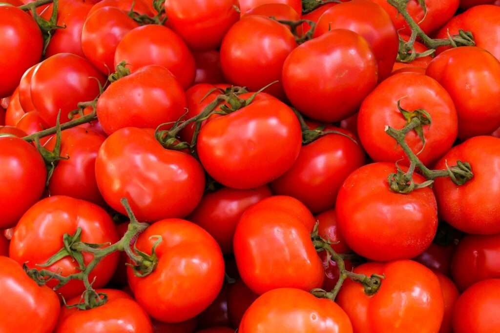 Read more about the article Centre launches ‘Tomato Grand Challenge’ to get ideas to curb sudden spike in tomato prices