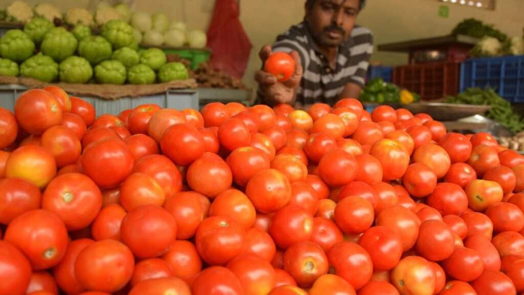 Read more about the article Centre reduces subsidised rate of tomato to Rs 80/kg in Delhi-NCR, other locations