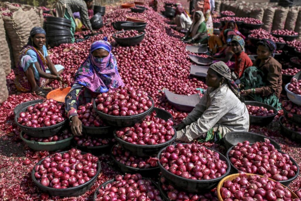 Read more about the article Centre imposes 40% export duty on onion to improve local supplies