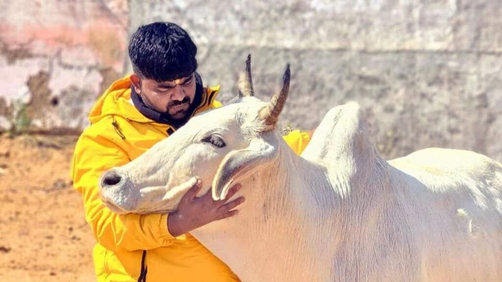 Read more about the article Gau Rakshak Monu Manesar arrested by Haryana Police; handed over to Rajasthan Police