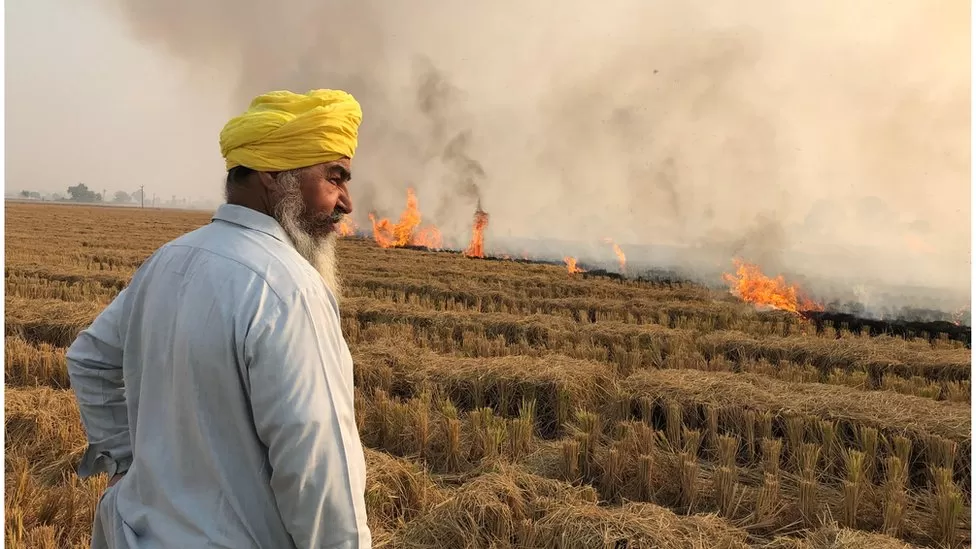 Read more about the article Supreme Court pulls up Punjab govt over stubble burning, says it must be stopped